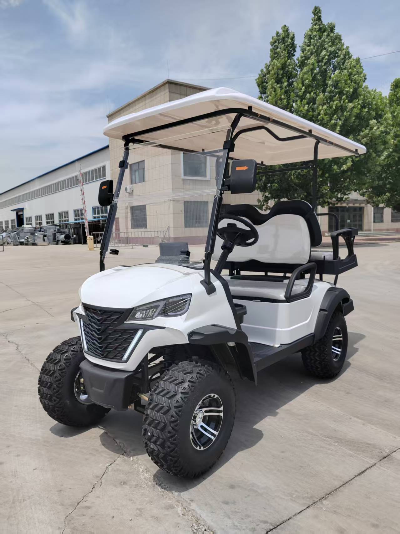 EV Golf Cart Package A