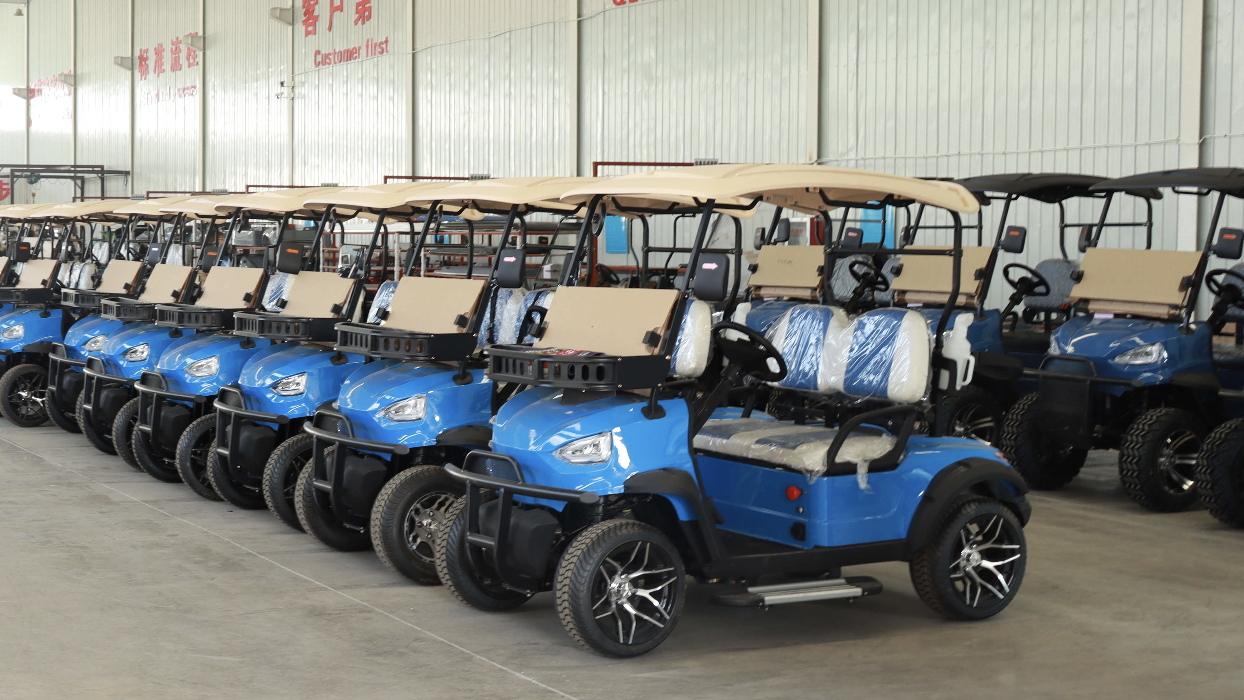 EV golf cart factory manufacturer