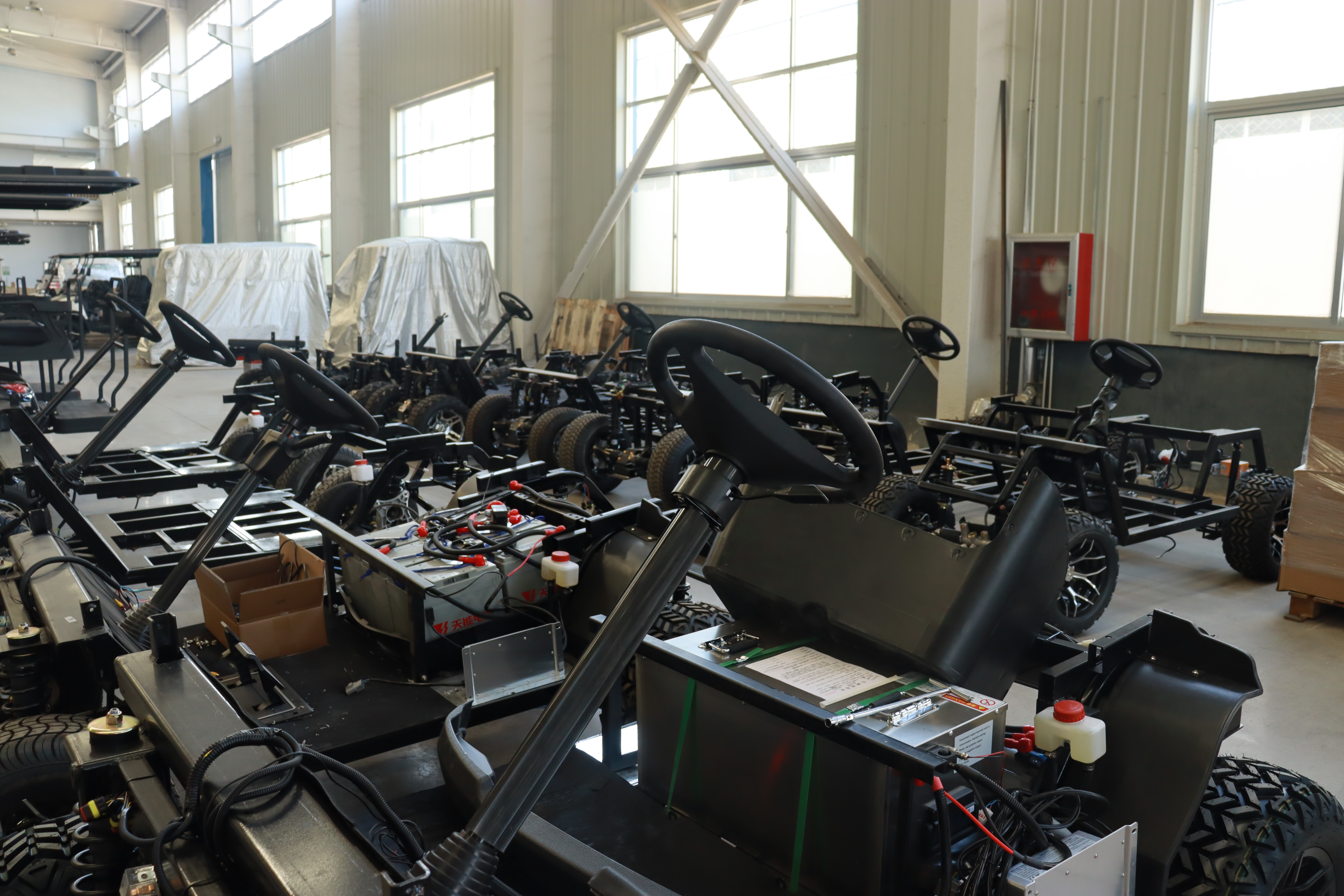 Electric Golf Cart Factory