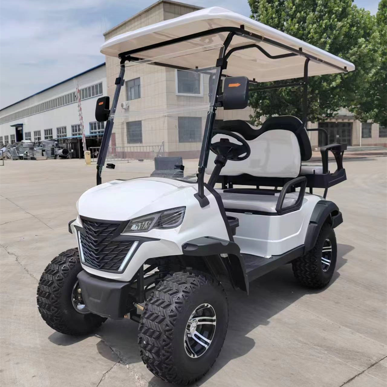 Electric Golf Cart
