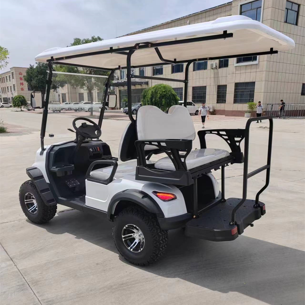 Golf Cart Rear View