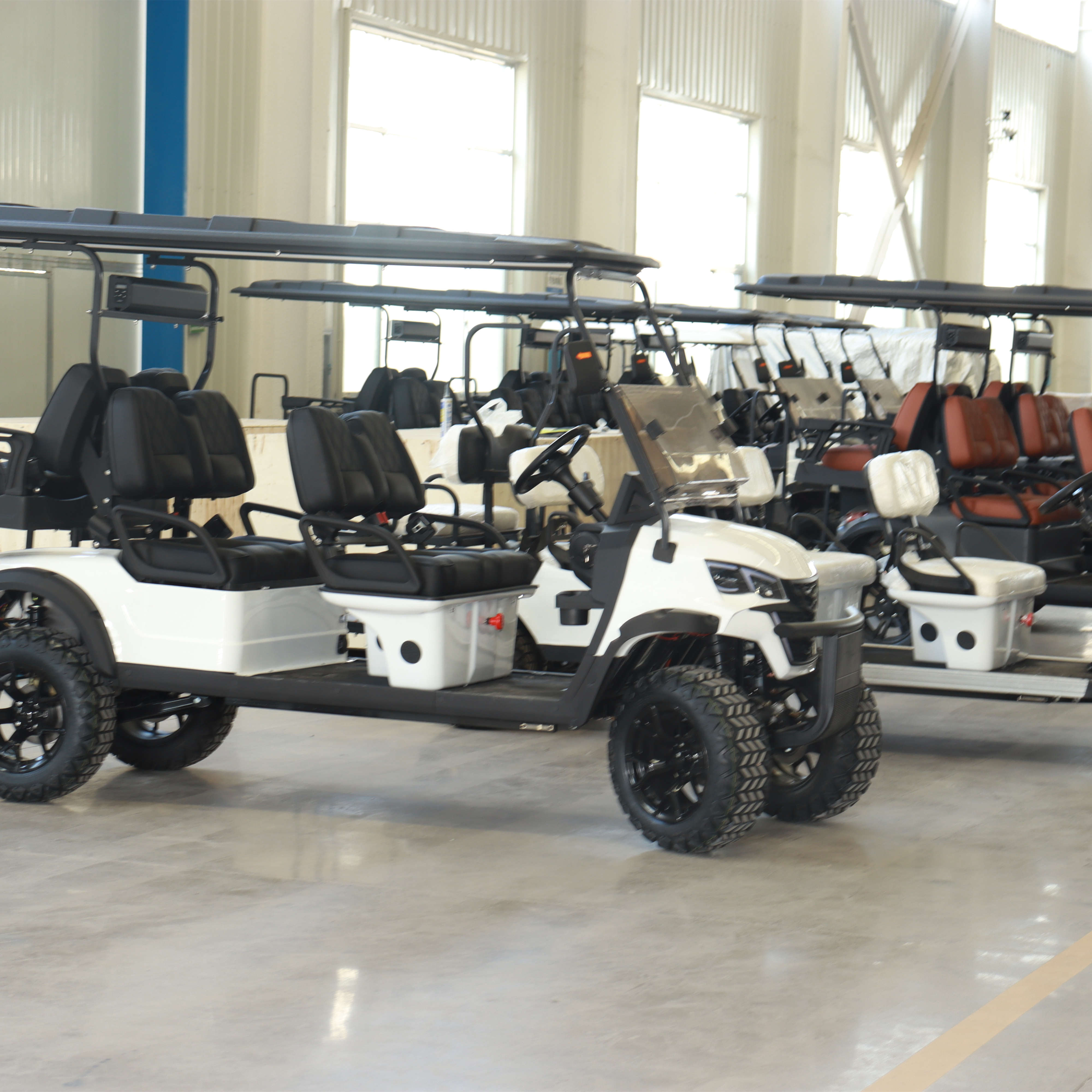 Electric Golf Cart